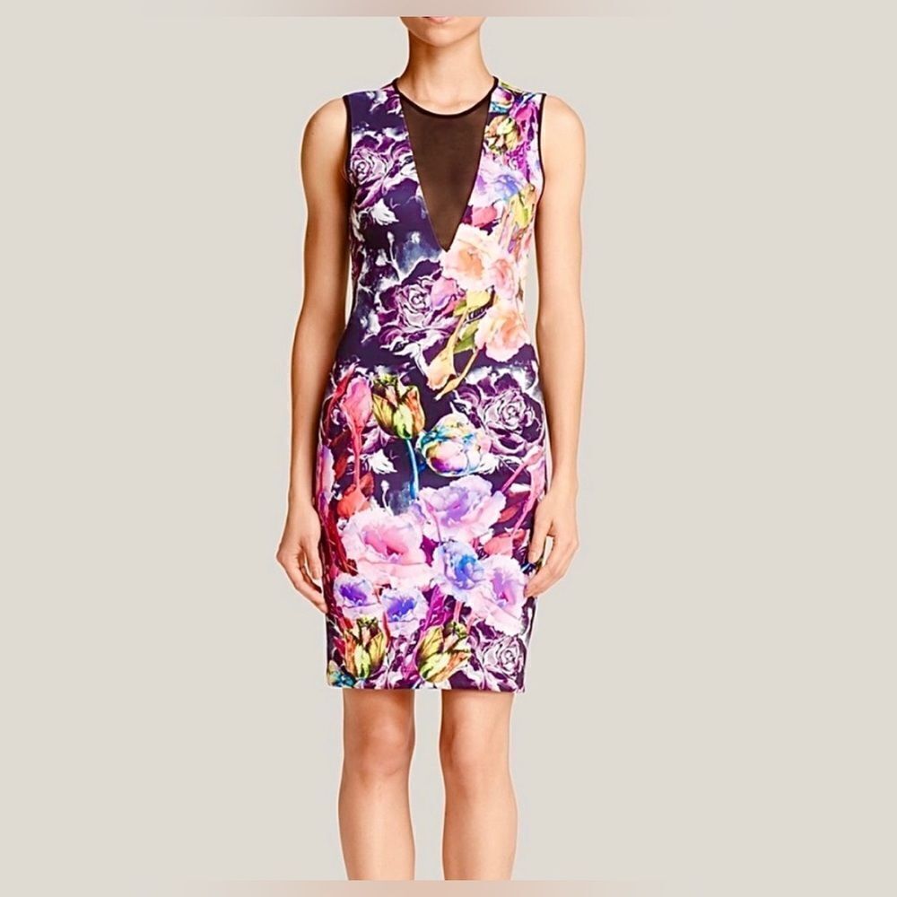 Clover Canyon Floral Mesh Panel Sleeveless Dress Small